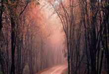 Zcash: Its Groundbreaking Vision, Price Predictions, and Why It Matters – What Reddit is Saying