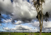 GOOG Stock: The Vision Beyond the Numbers